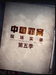 罪案现场实录第5季