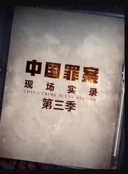 罪案现场实录第3季