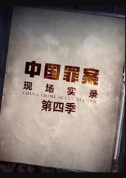 罪案现场实录第4季