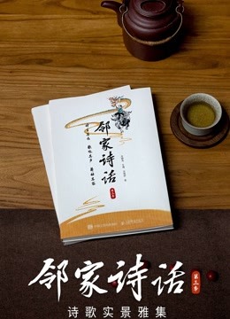 邻家诗话3