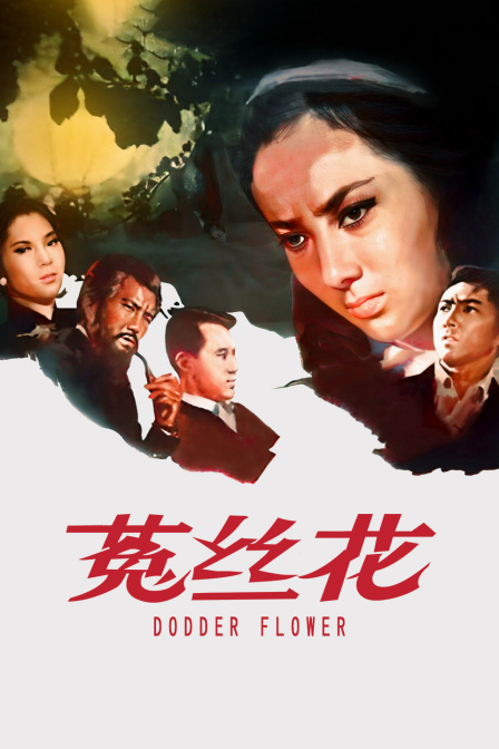 菟丝花