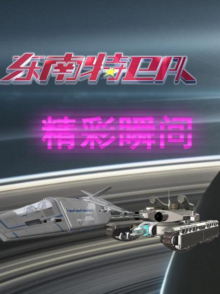 东南特卫队精彩瞬间