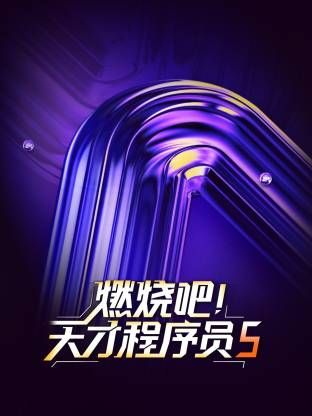 燃烧吧天才程序员第5季