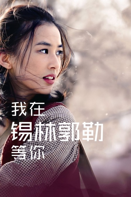 我在锡林郭勒等你