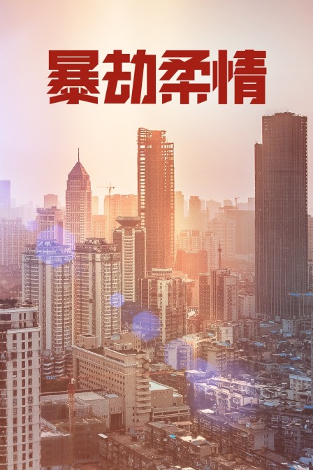暴劫柔情