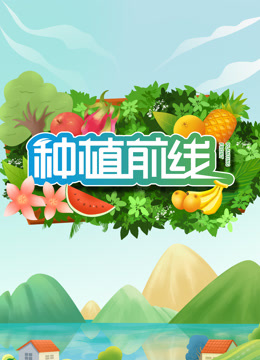 种植前线