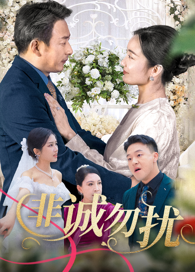 非诚勿扰