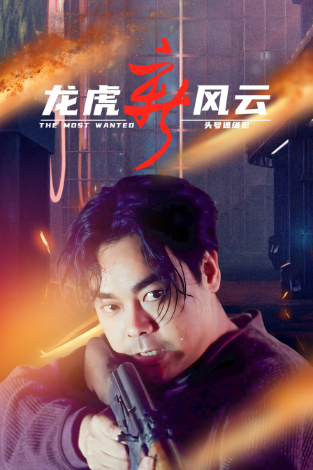 龙虎新风云头号通缉犯