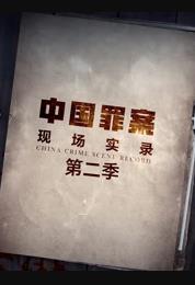 罪案现场实录第2季