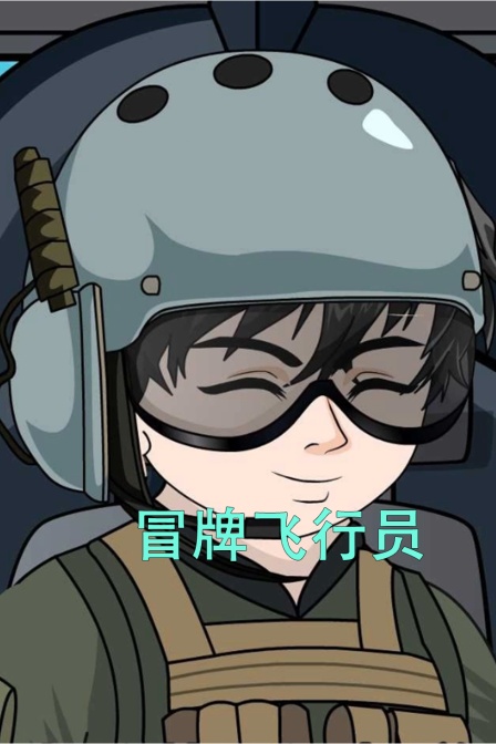冒牌飞行员