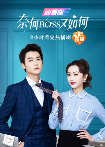 奈何BOSS又如何