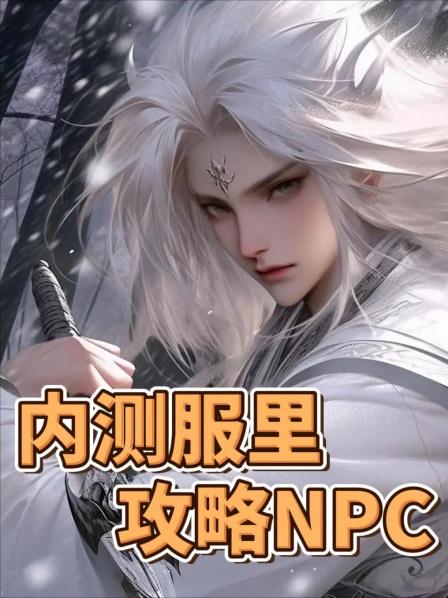 内测服里攻略NPC