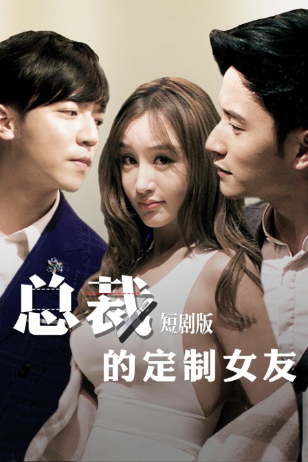 总裁的定制女友短