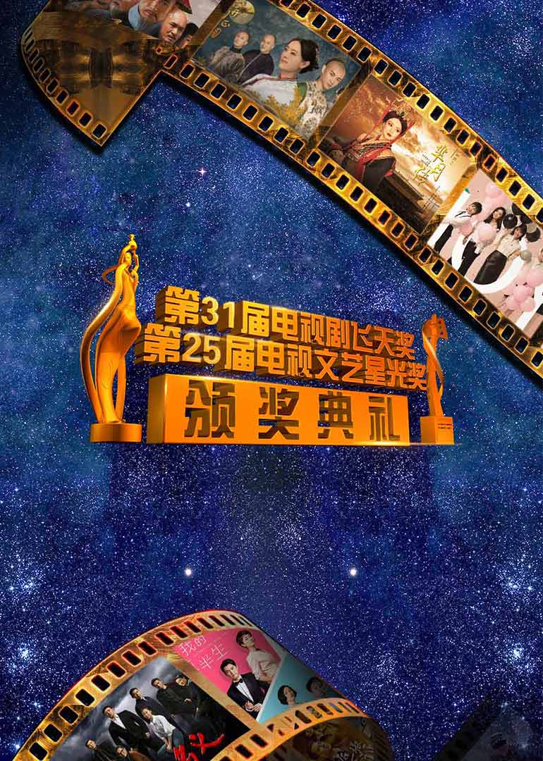 第31届电视剧飞天奖暨第25届电视文艺星光奖