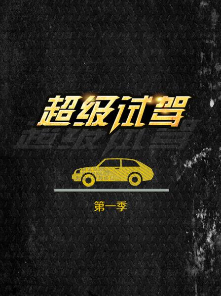 再次挑战朗逸纯电到底试驾感受有何不同