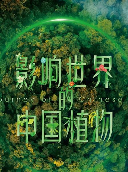植物天堂
