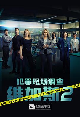 犯罪现场调查维加斯第2季