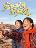 宛如明月照归途