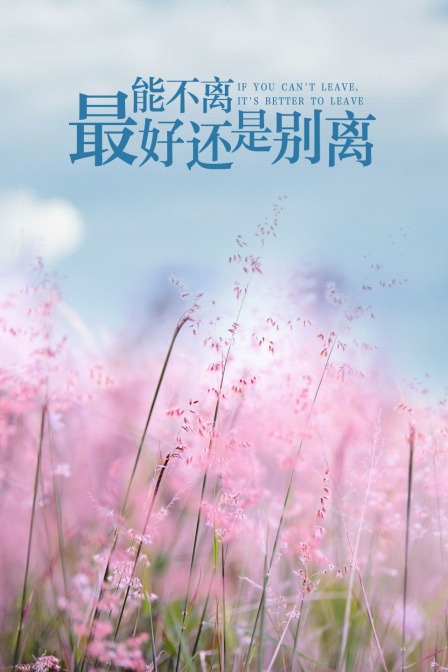 能不离最好还是别离