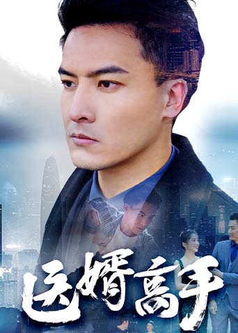 医婿高手