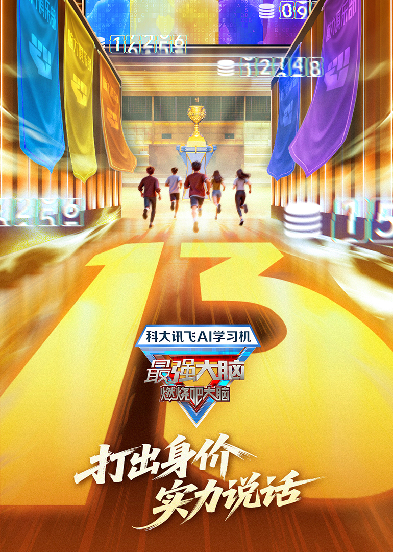 最强大脑13