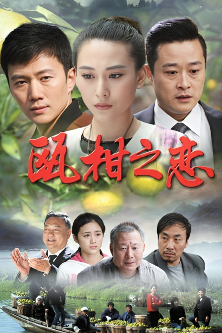 瓯柑之恋