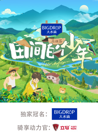田间的少年2