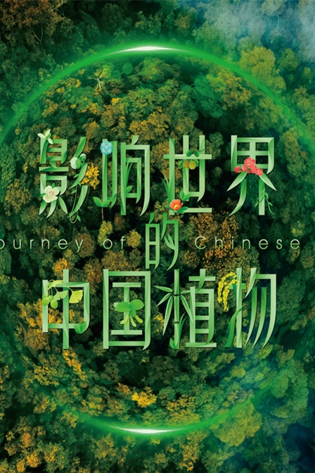 影响世界的中国植物