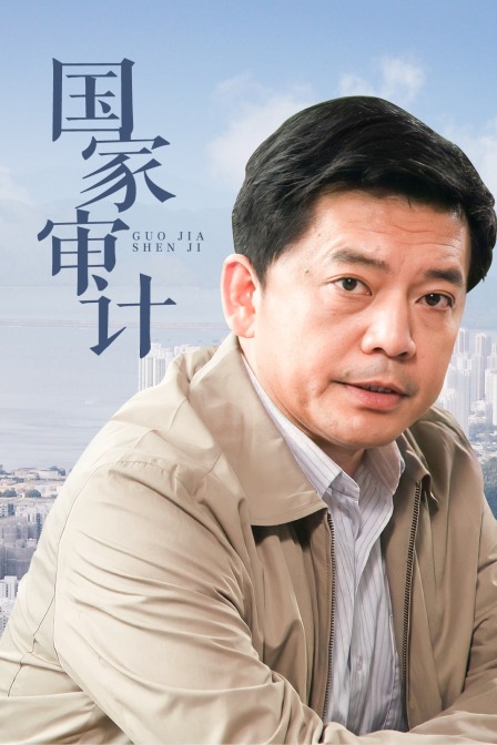国家审计