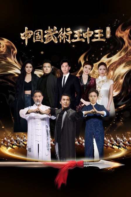 中国武术王中王第2季