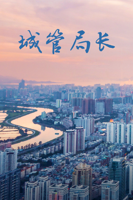 城管局长