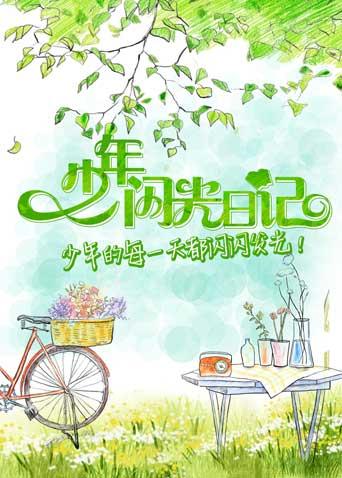 少年闪光日记