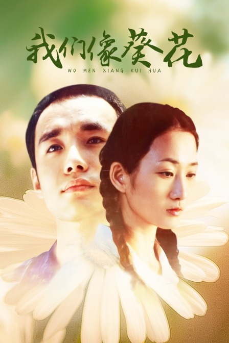 我们像葵花