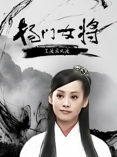 杨门女将天波府风波