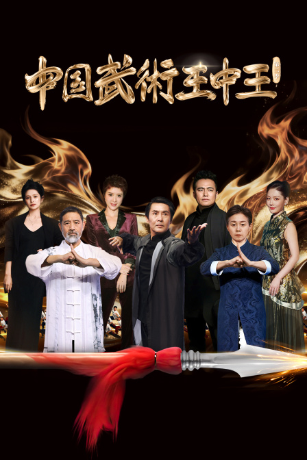 中国武术王中王2