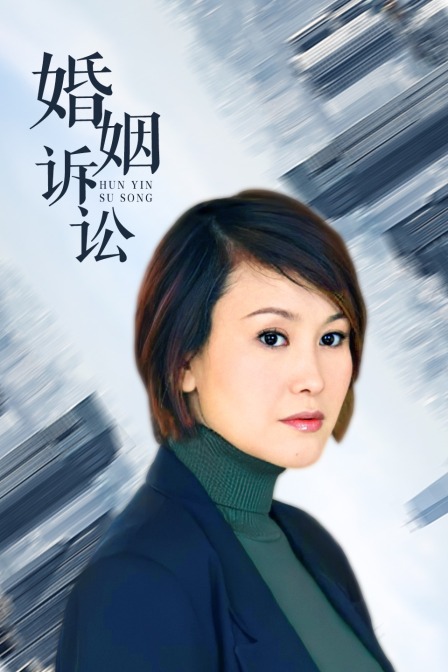 婚姻诉讼