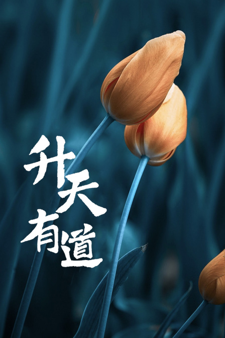 升天有道