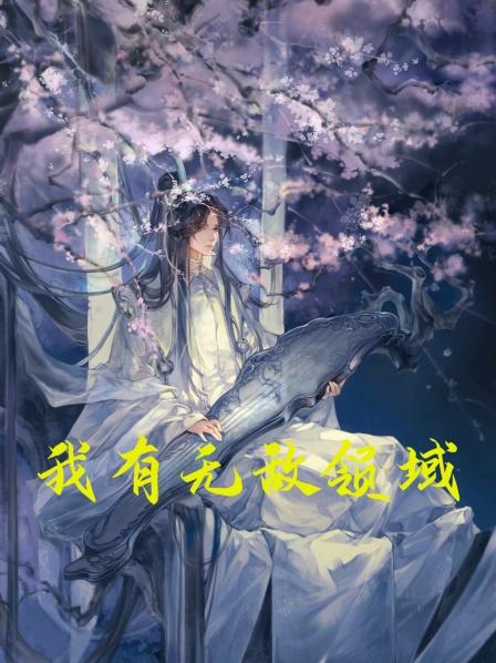 我有无敌领域