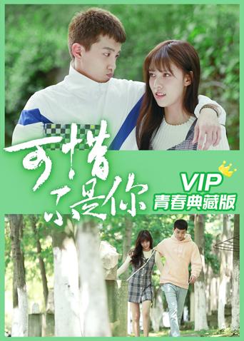 可惜不是你VIP青春