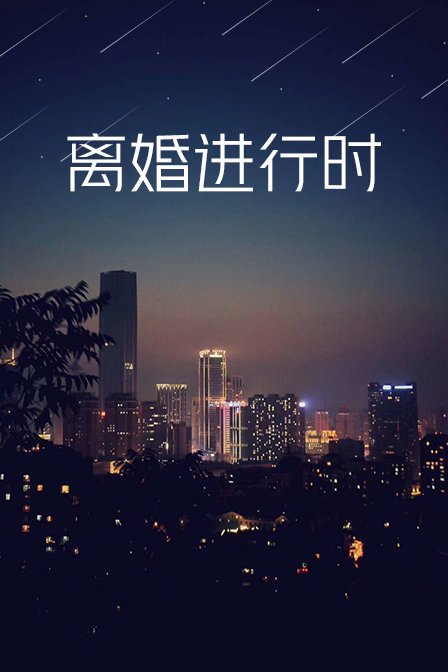 离婚进行时