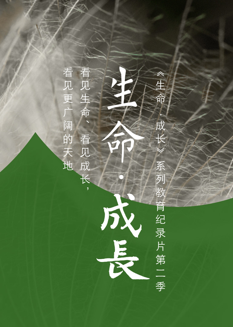 生命成长第2季