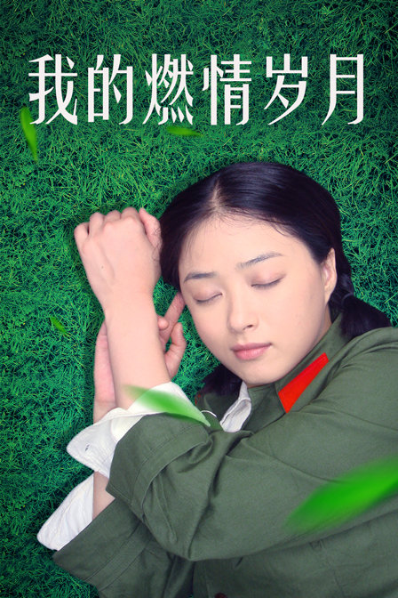 我的燃情岁月