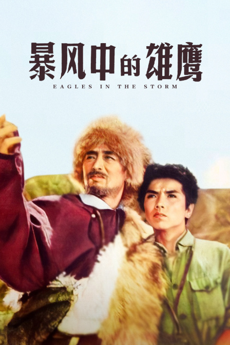 暴风雨中的雄鹰
