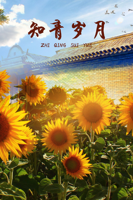 知青岁月