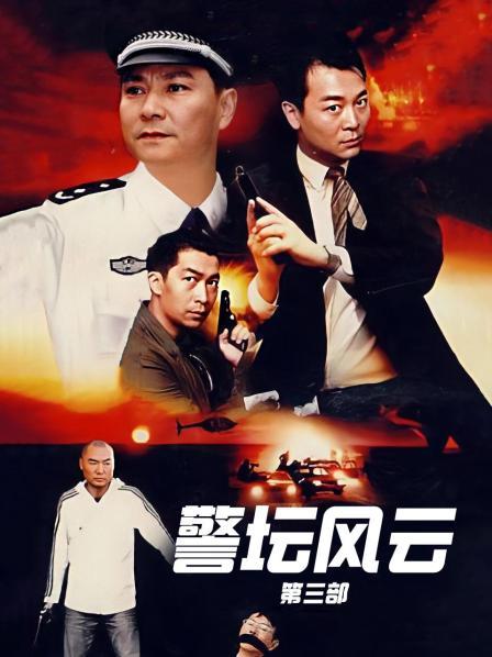 警坛风云第3部
