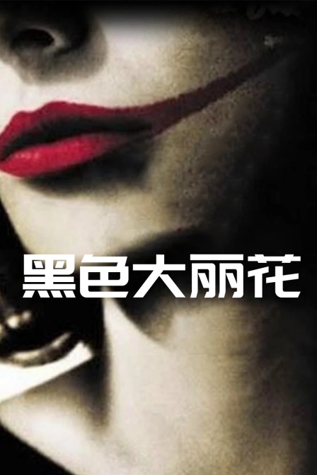 黑色大丽花
