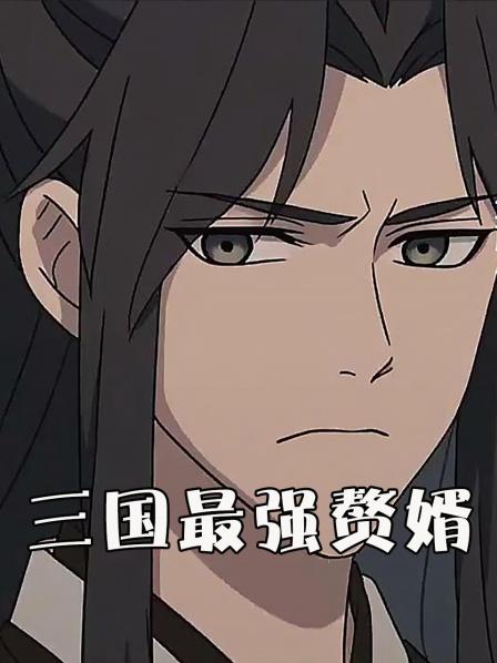 三国最强赘婿