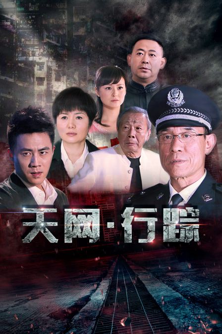 天网行踪
