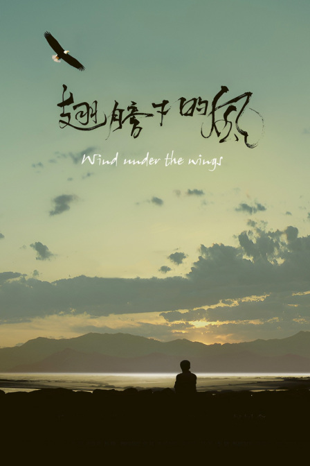 翅膀下的风