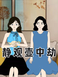 静观壶中劫